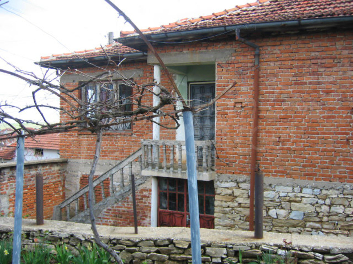 Gallery Picture 5