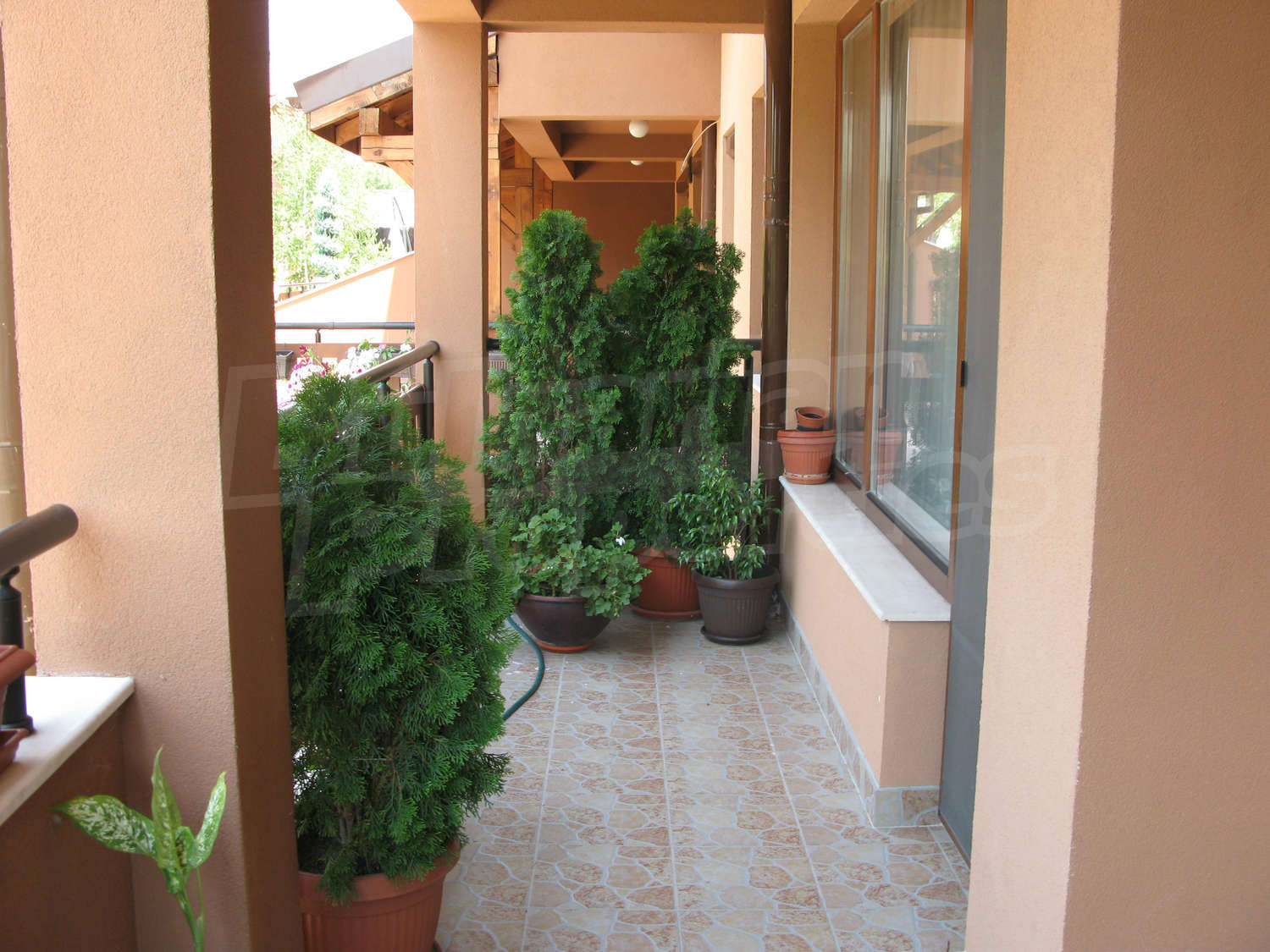 Gallery Picture 19
