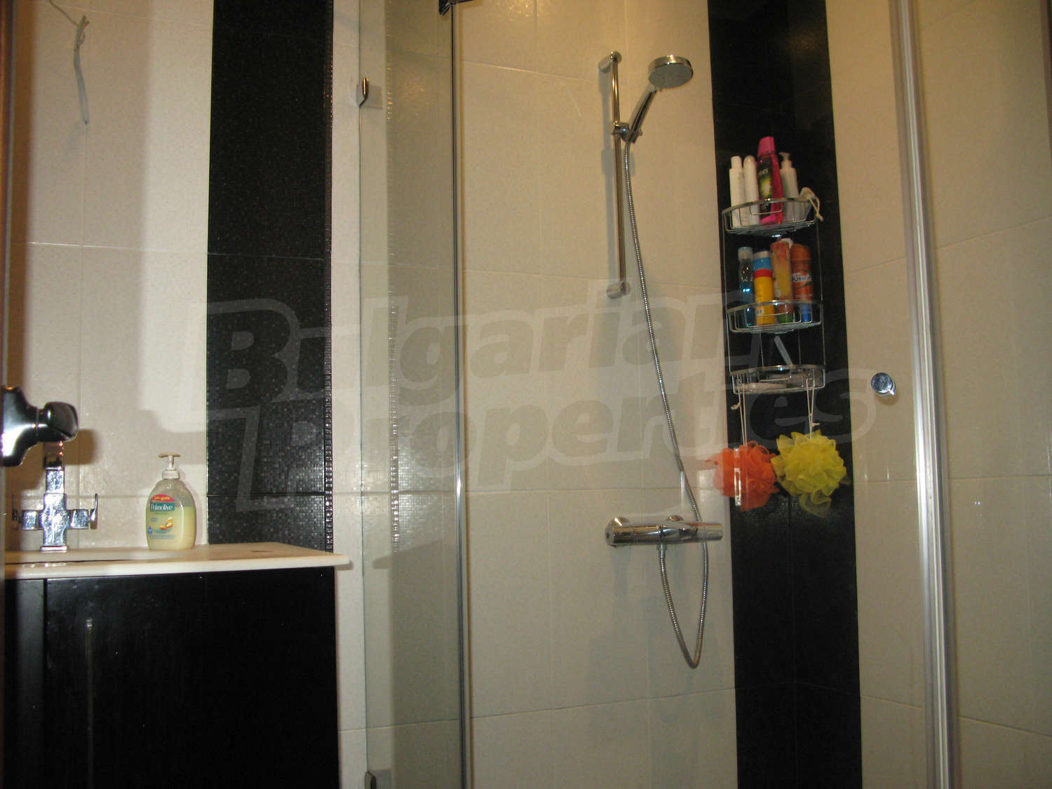 Gallery Picture 24