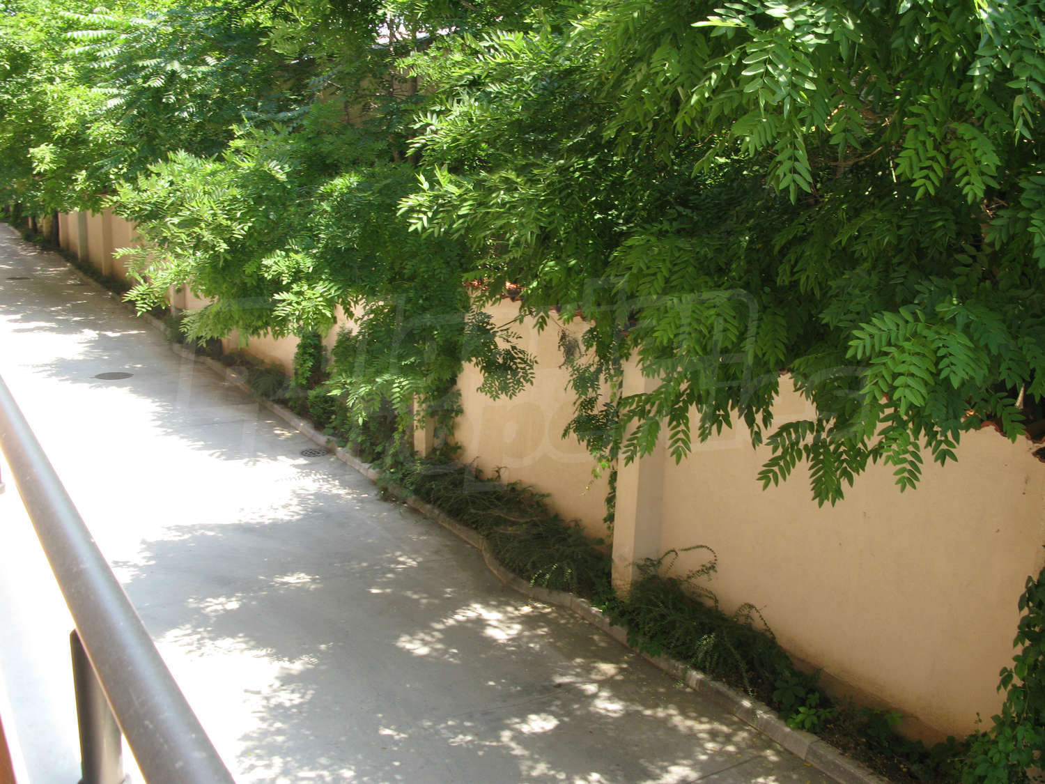 Gallery Picture 30