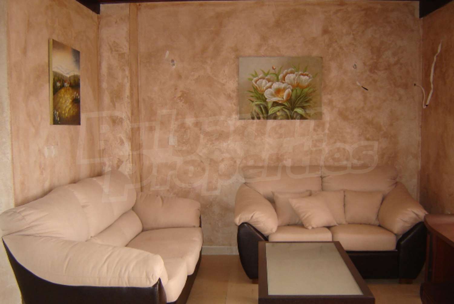 Gallery Picture 16