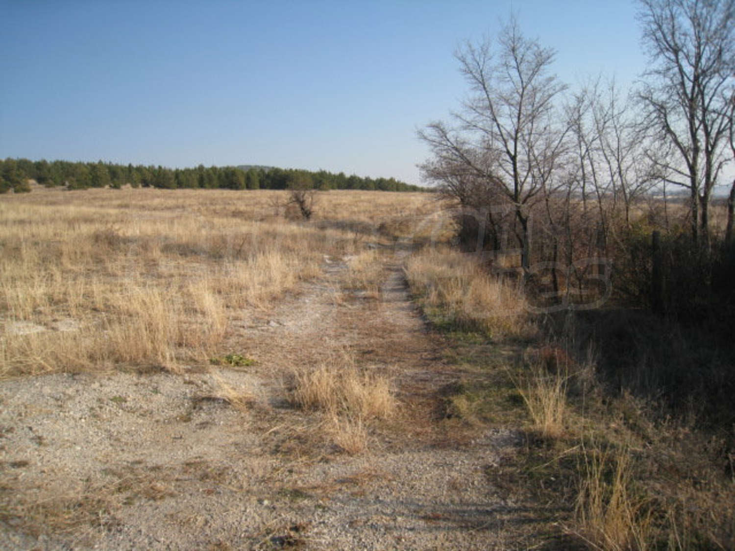 Gallery Picture 18