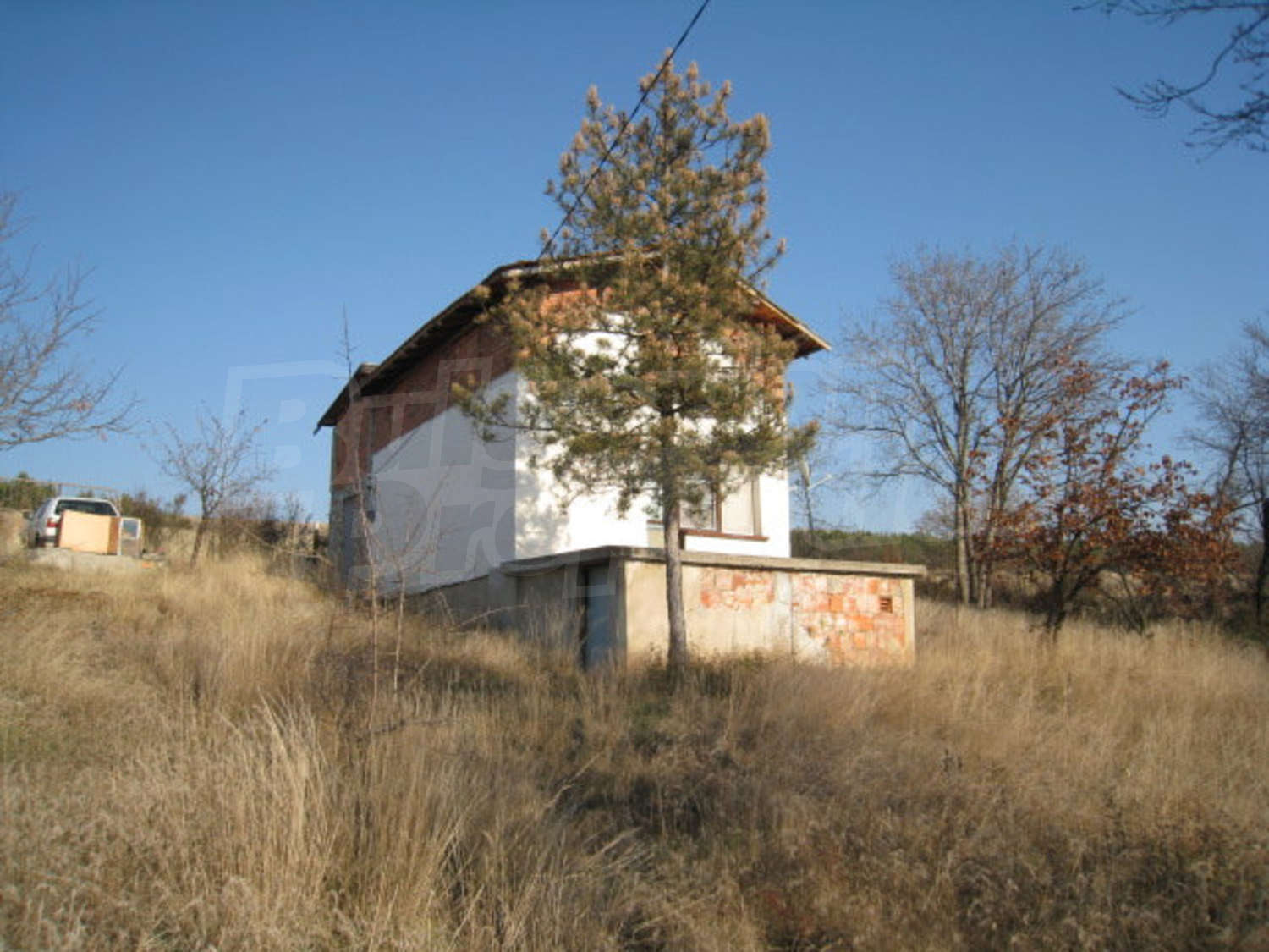 Gallery Picture 6