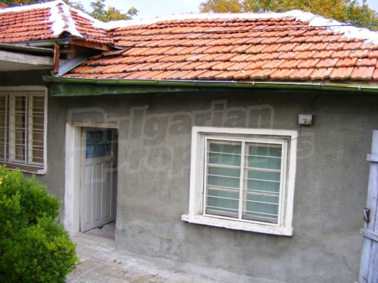 Gallery Picture 19