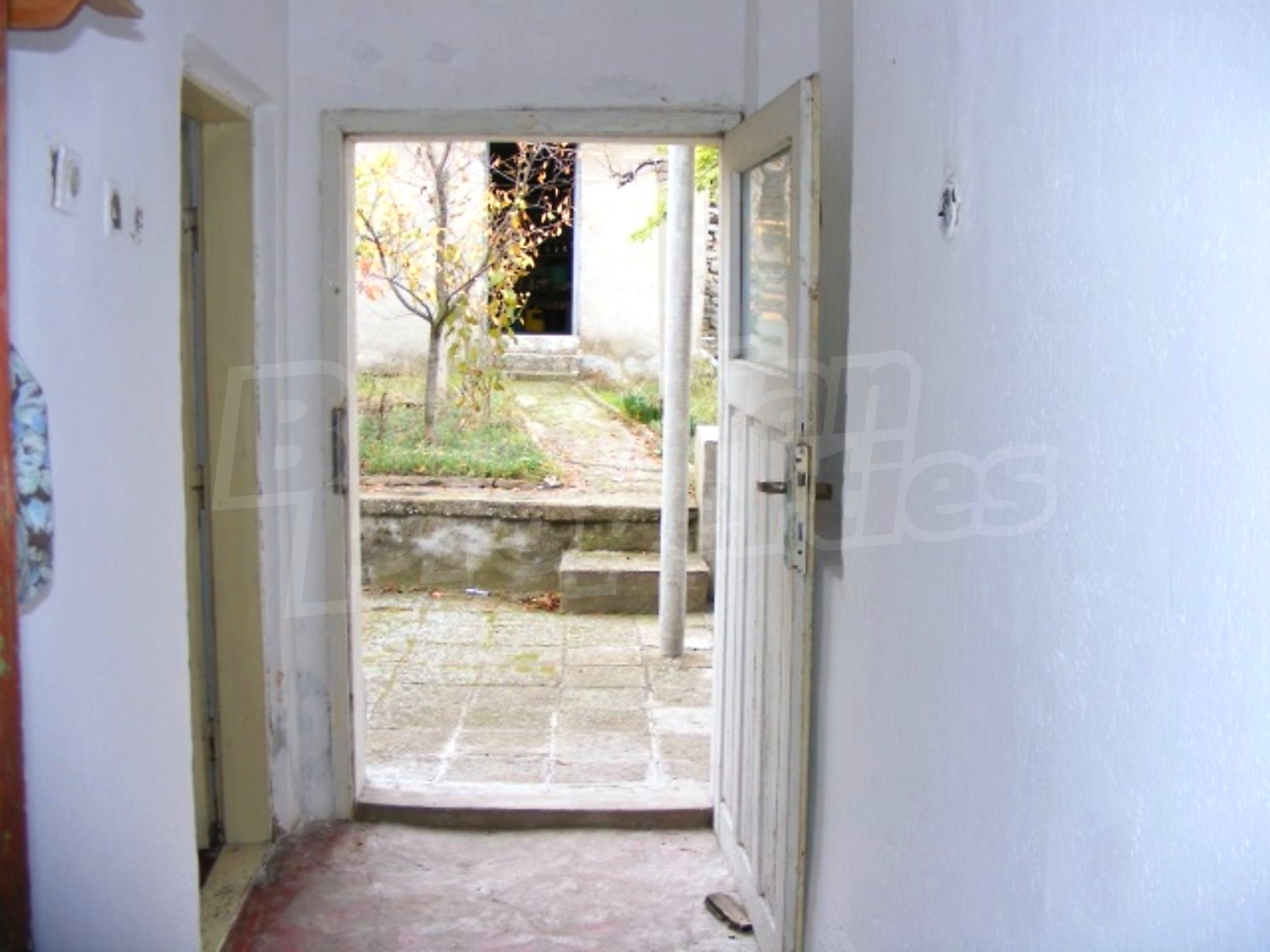 Gallery Picture 21