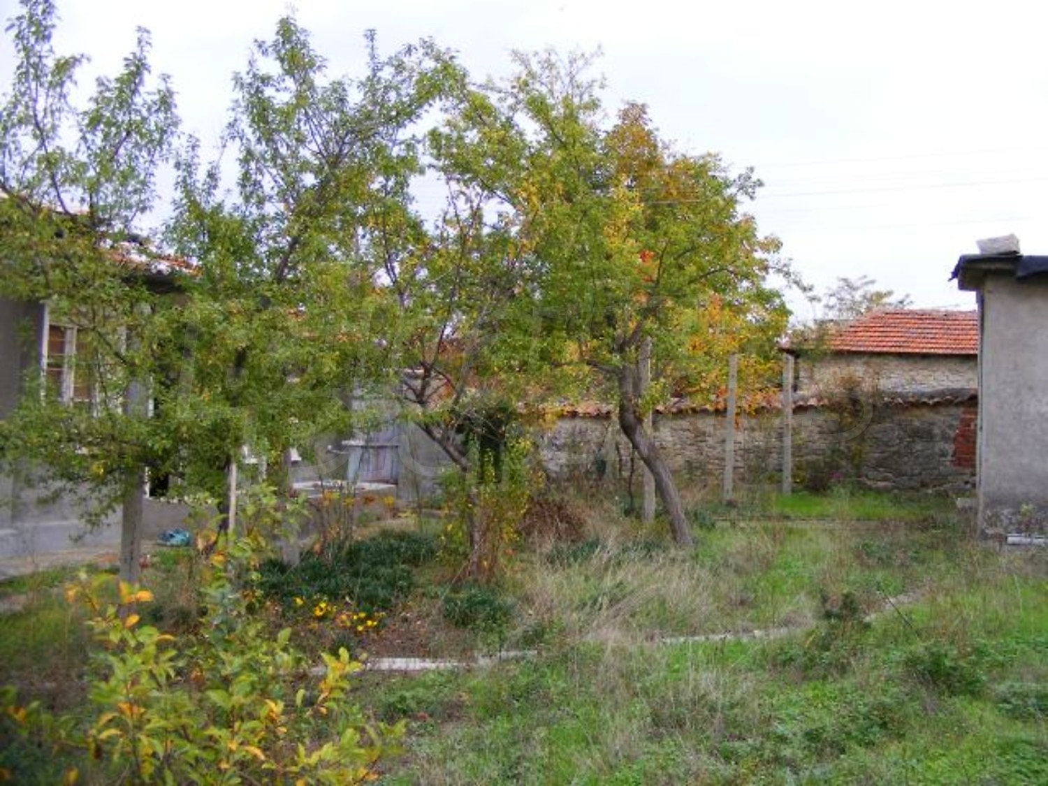 Gallery Picture 27