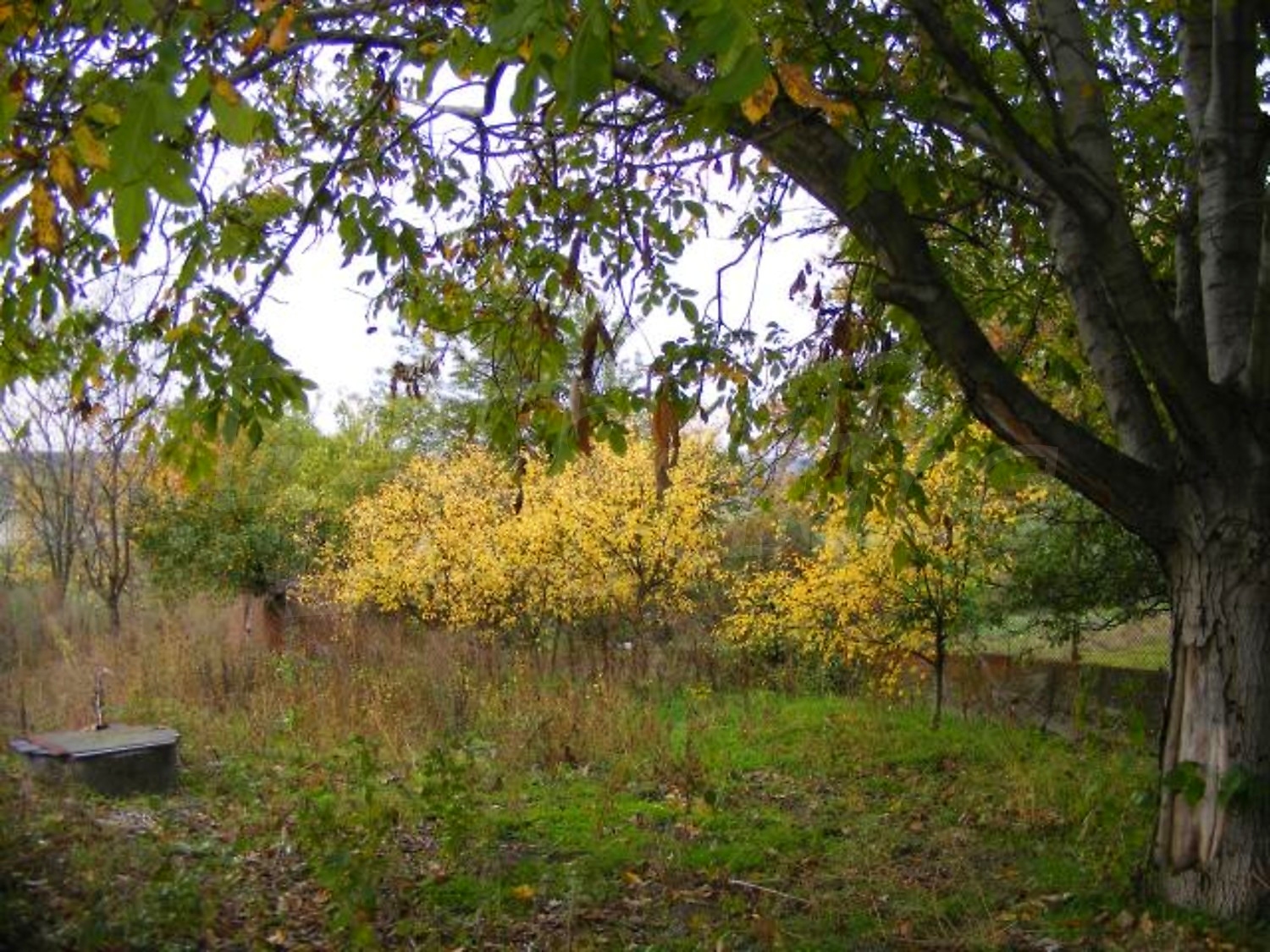 Gallery Picture 29