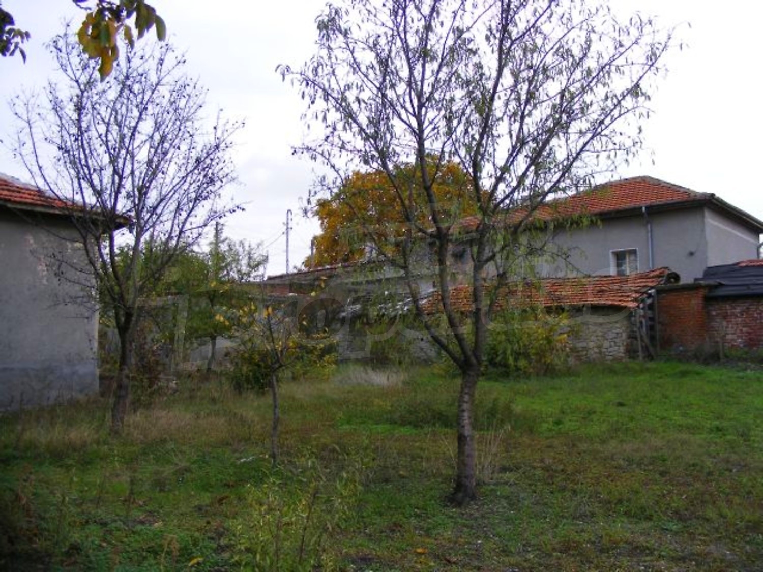 Gallery Picture 30