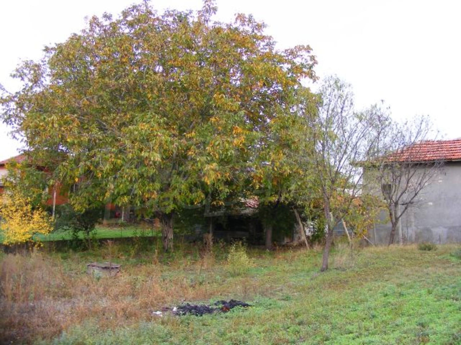 Gallery Picture 32
