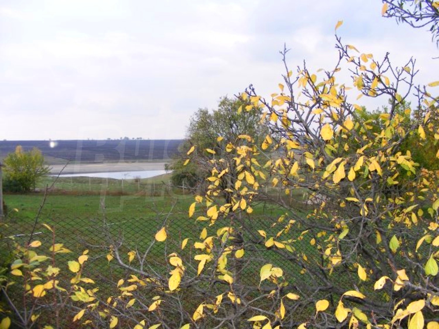 Gallery Picture 34