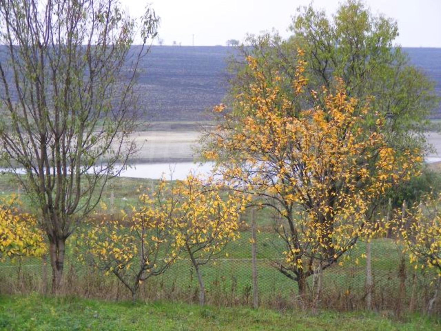 Gallery Picture 35