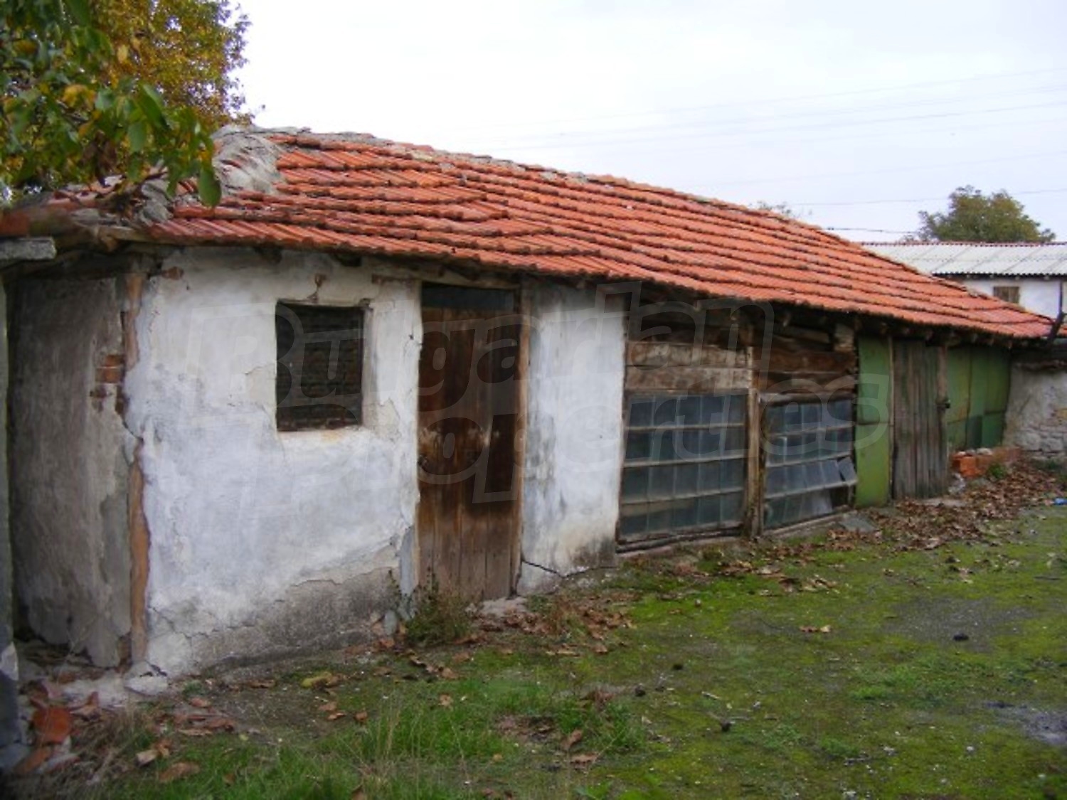 Gallery Picture 36