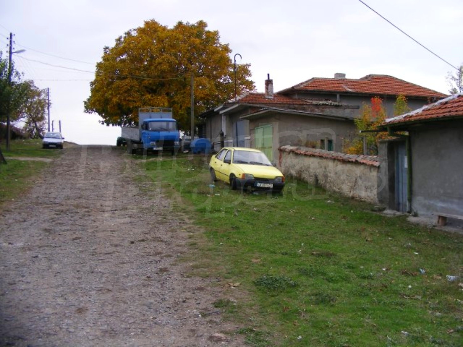 Gallery Picture 40