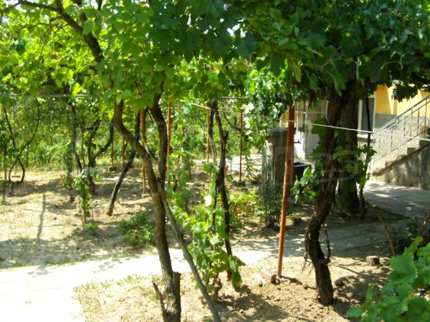 Gallery Picture 14