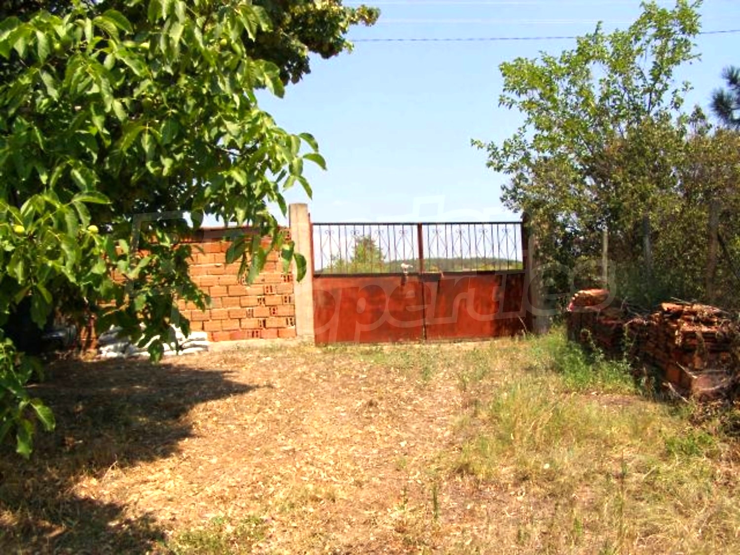 Gallery Picture 15