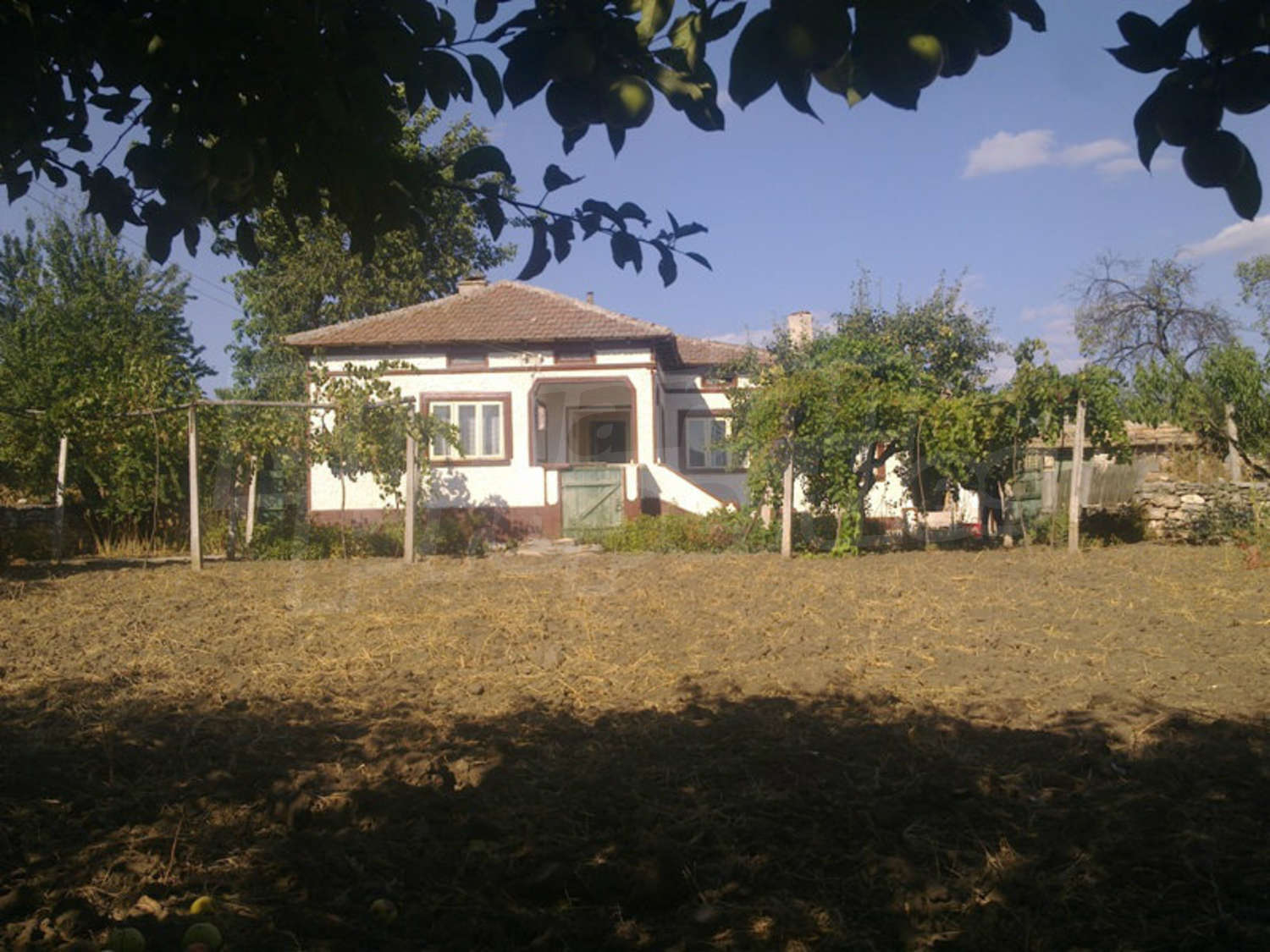 Gallery Picture 3