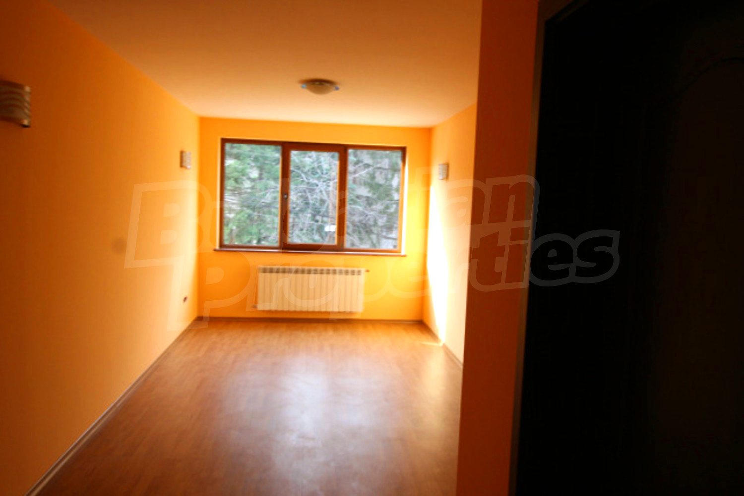 Gallery Picture 27