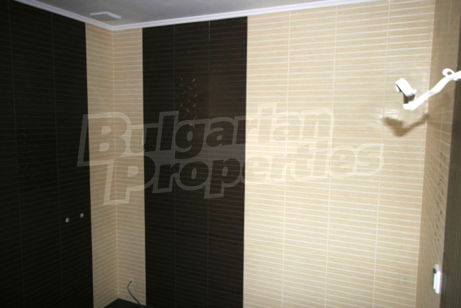 Gallery Picture 30