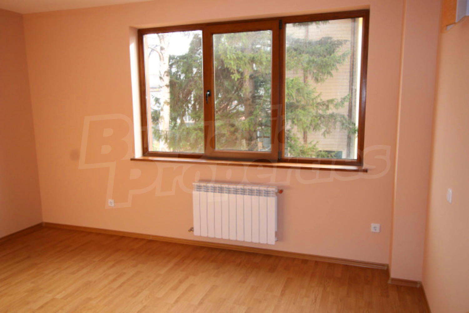 Gallery Picture 33
