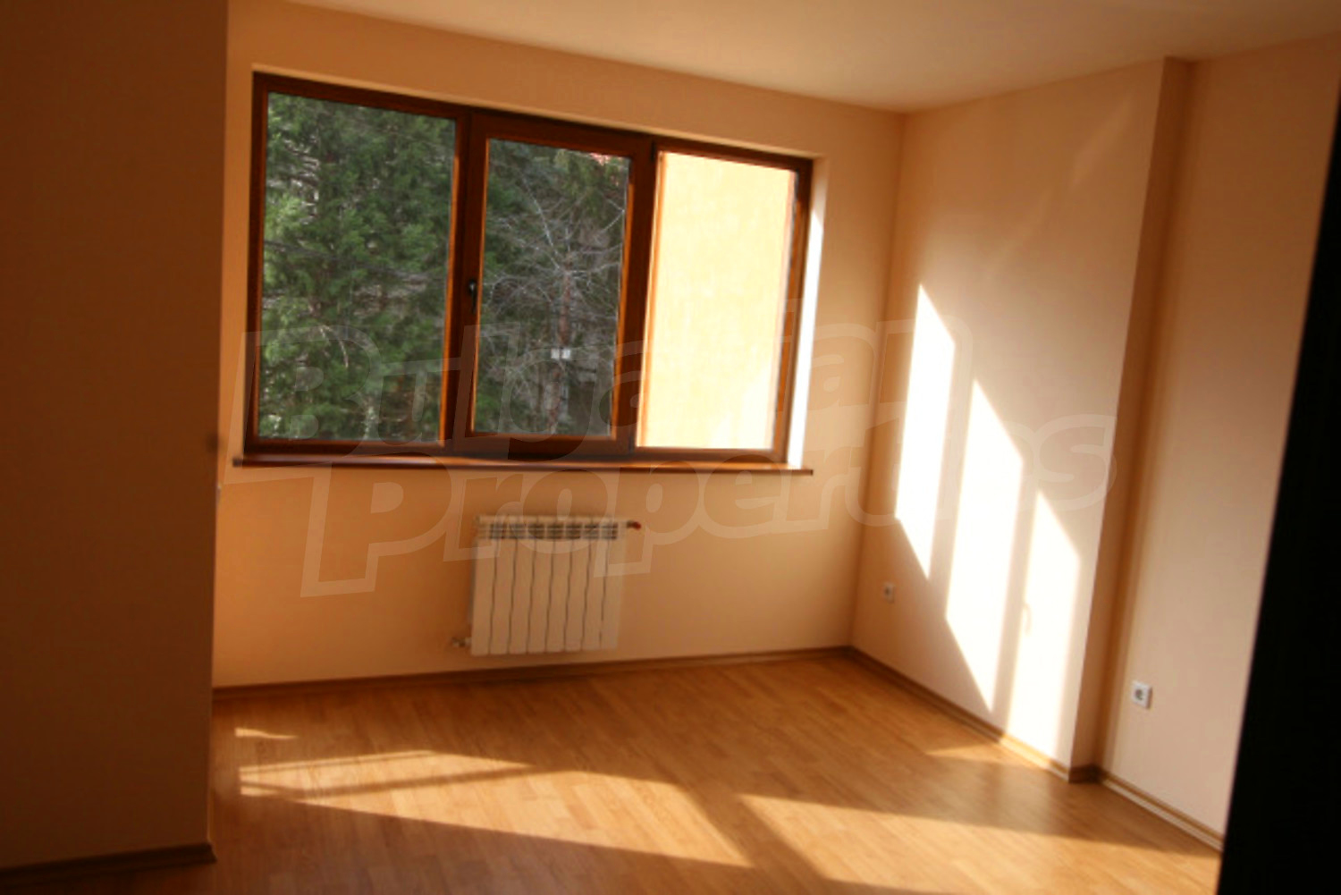 Gallery Picture 36