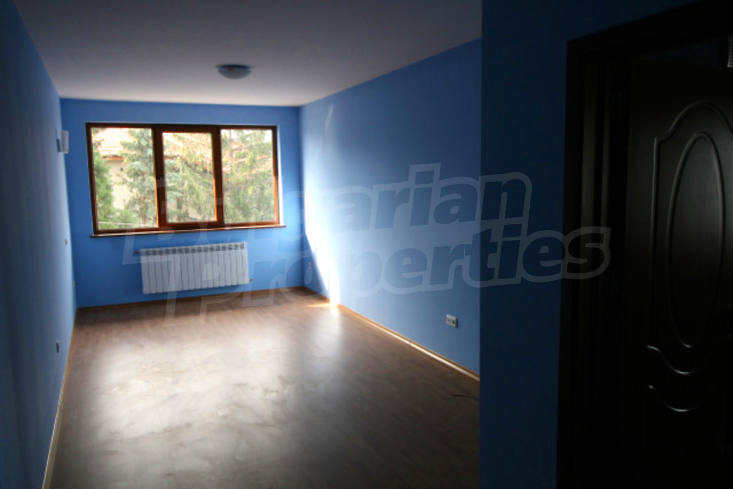 Gallery Picture 43