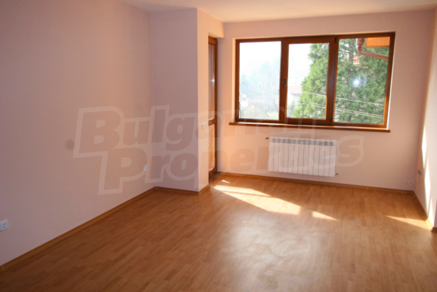 Gallery Picture 45