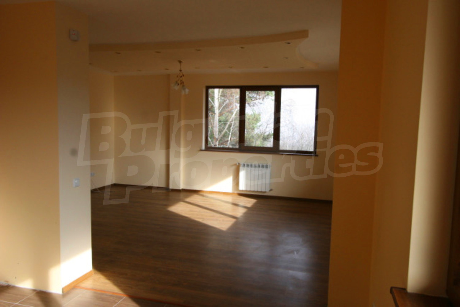 Gallery Picture 53