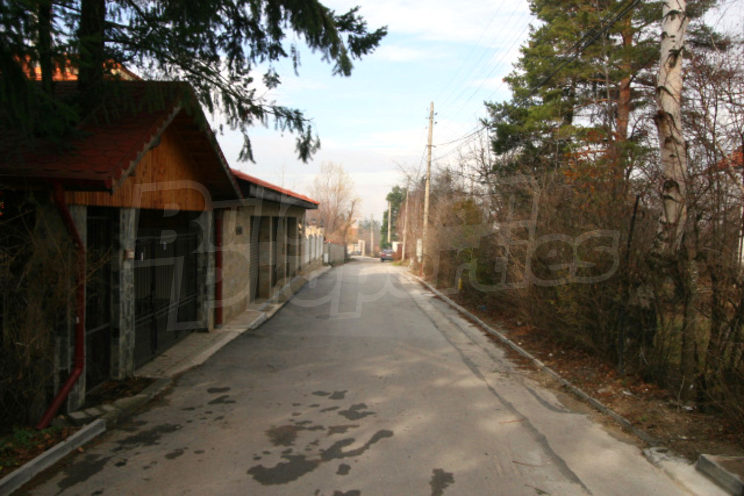 Gallery Picture 7