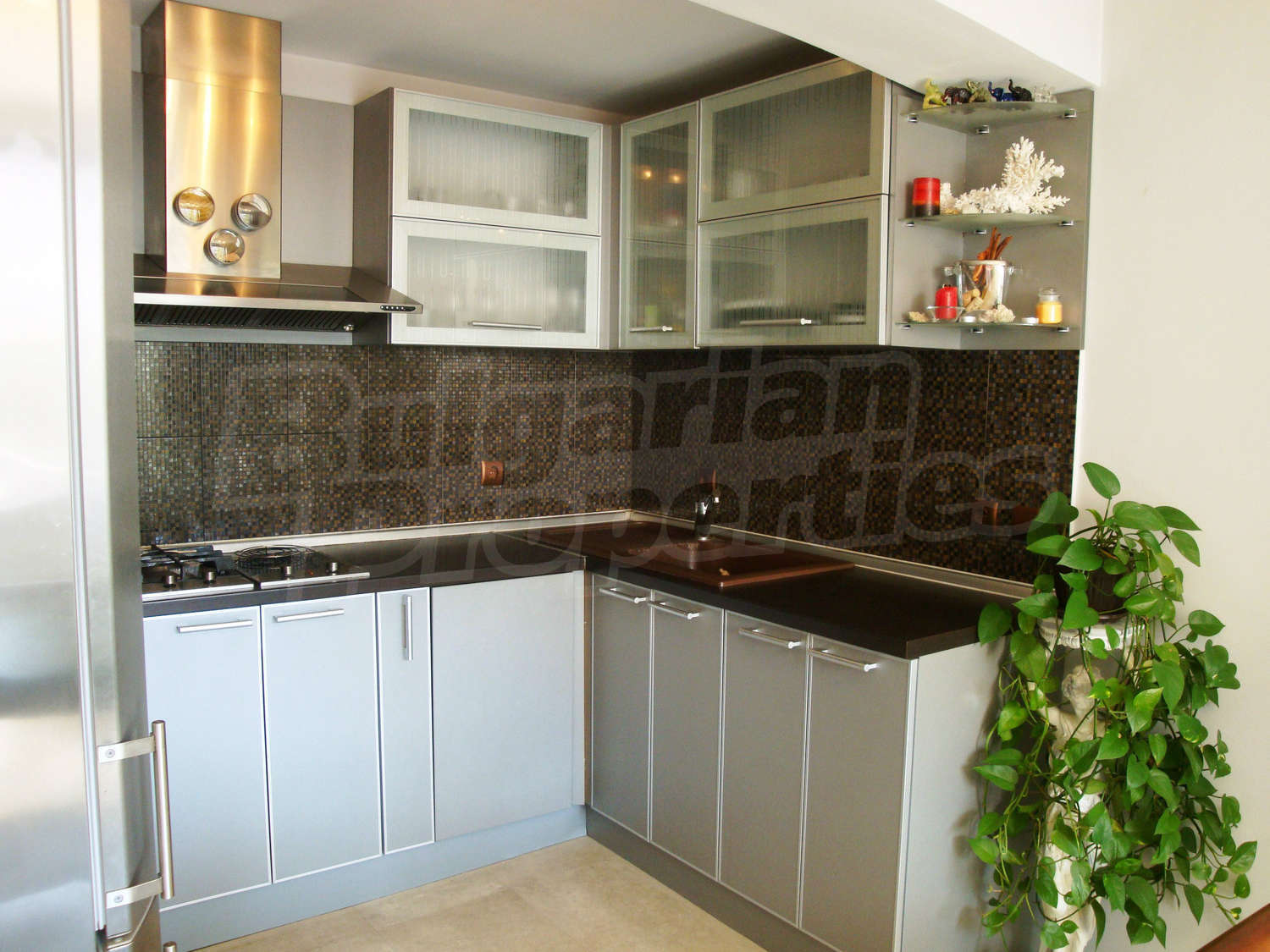 Gallery Picture 5