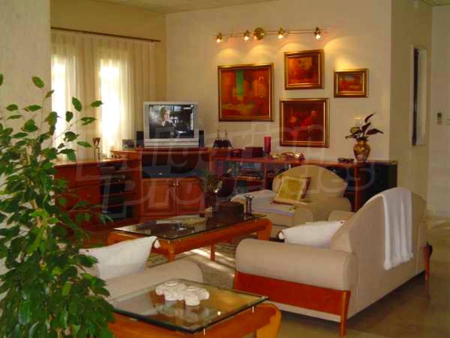 Gallery Picture 10