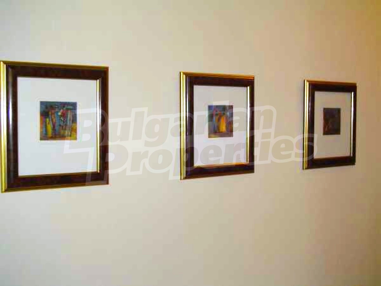 Gallery Picture 12