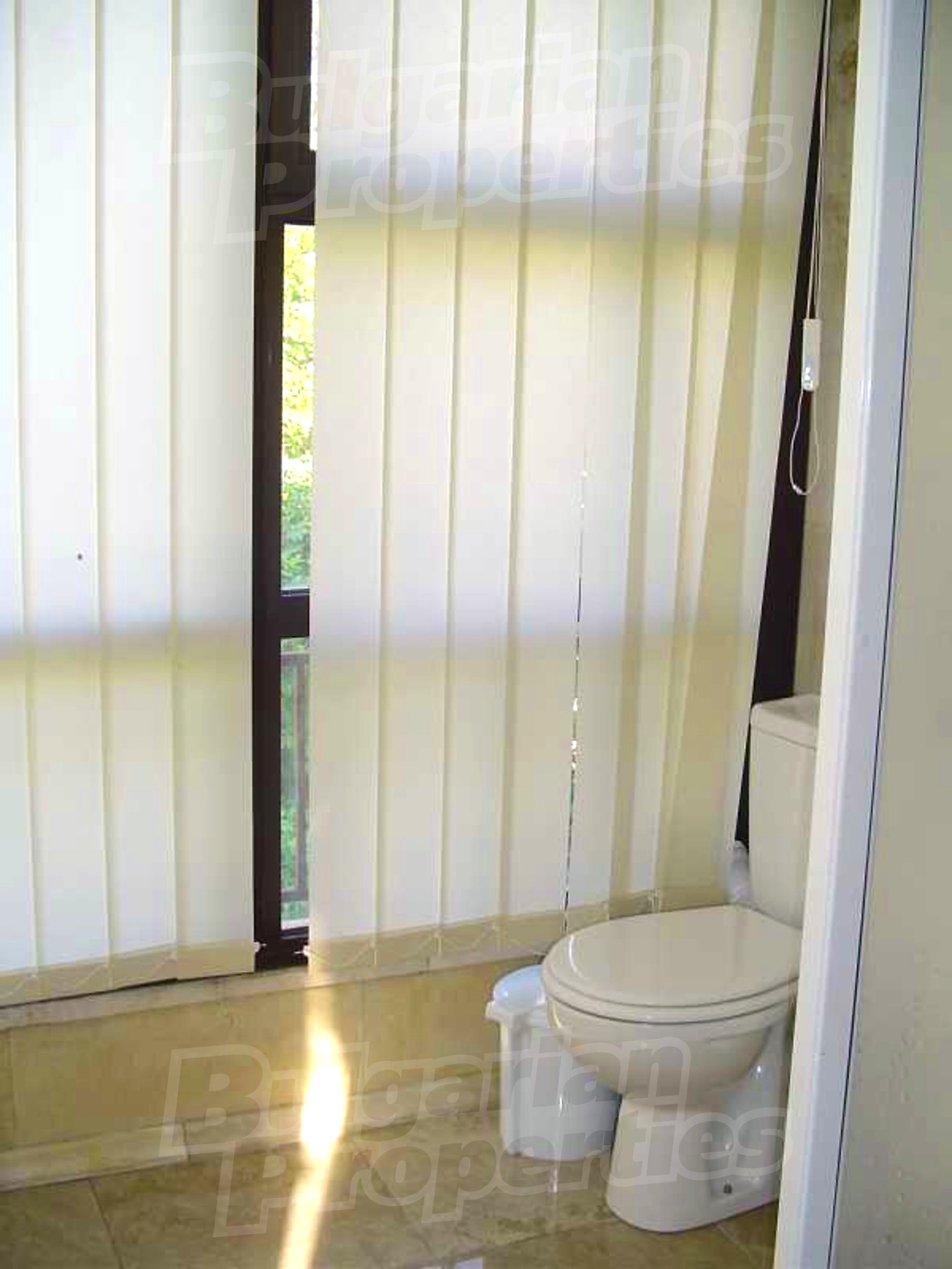 Gallery Picture 25