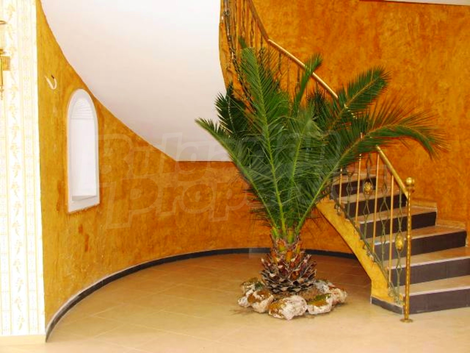 Gallery Picture 13
