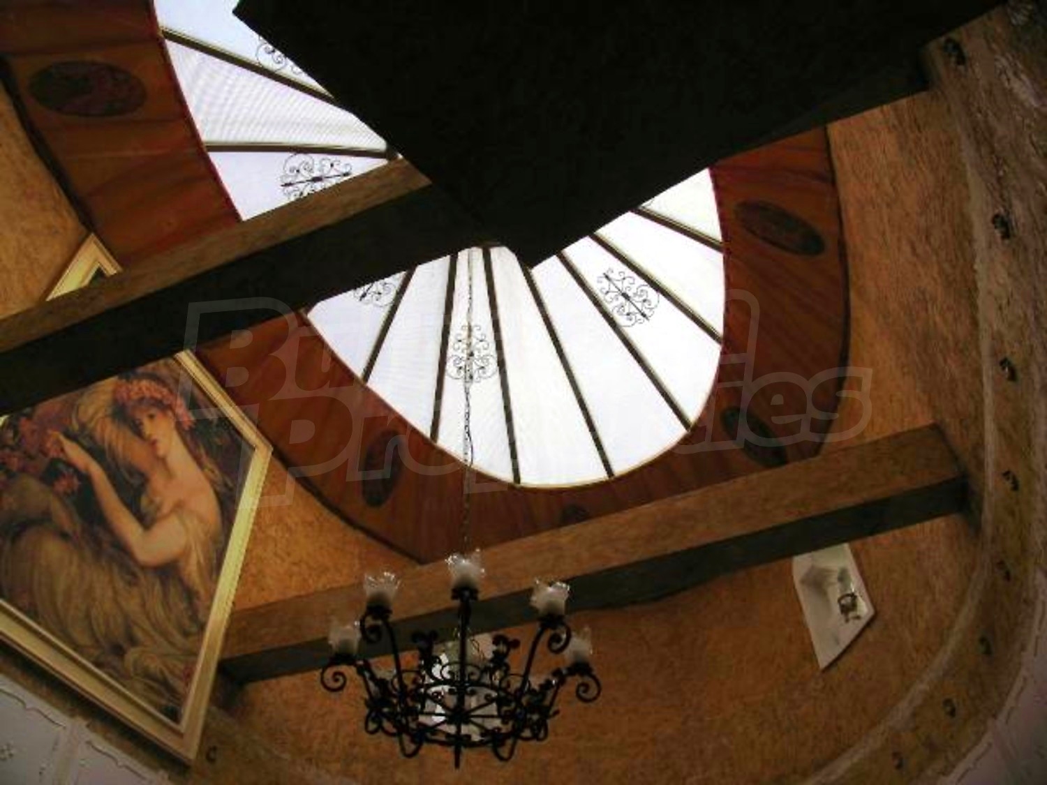 Gallery Picture 17