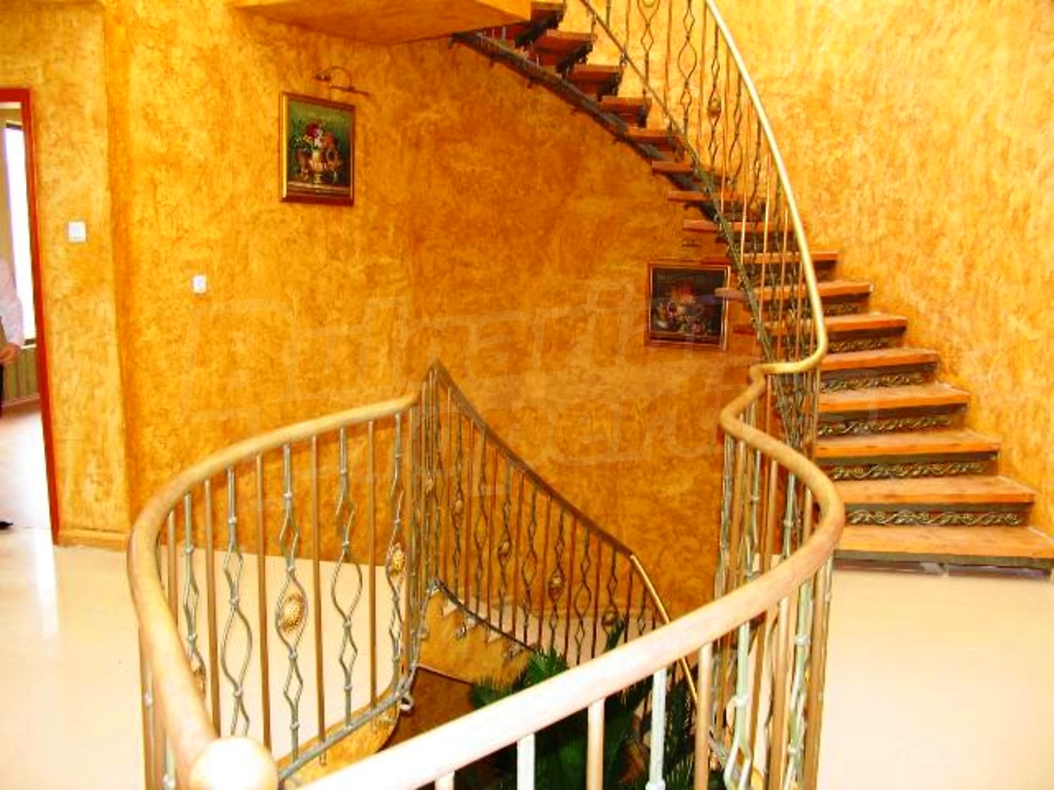 Gallery Picture 19