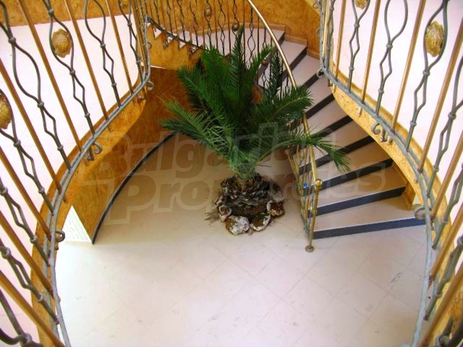 Gallery Picture 25