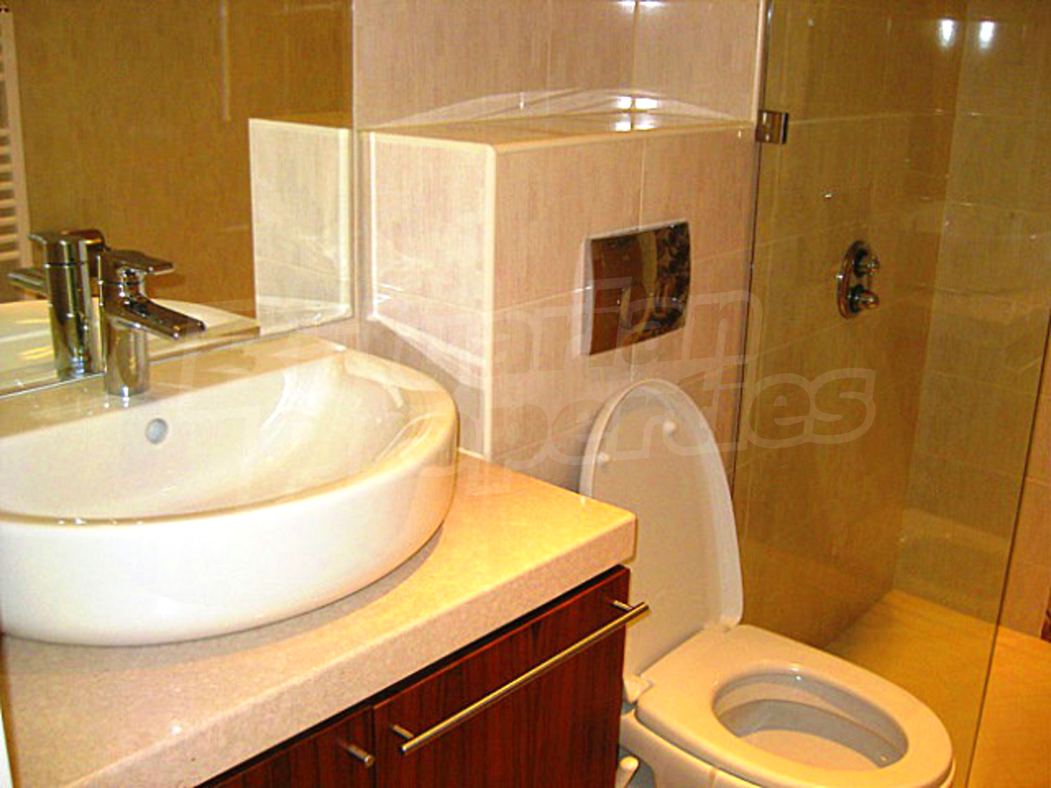 Gallery Picture 21
