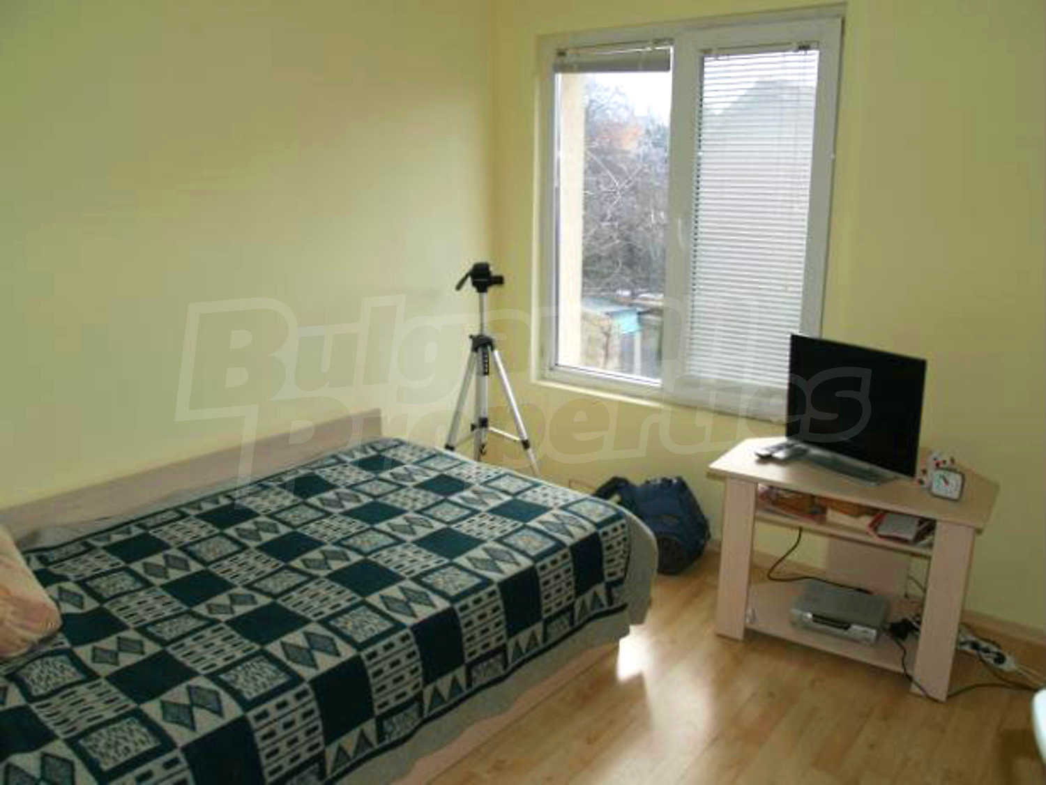 Gallery Picture 12
