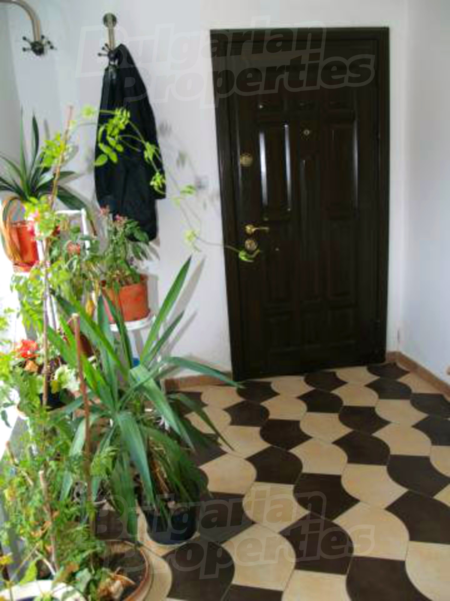 Gallery Picture 13