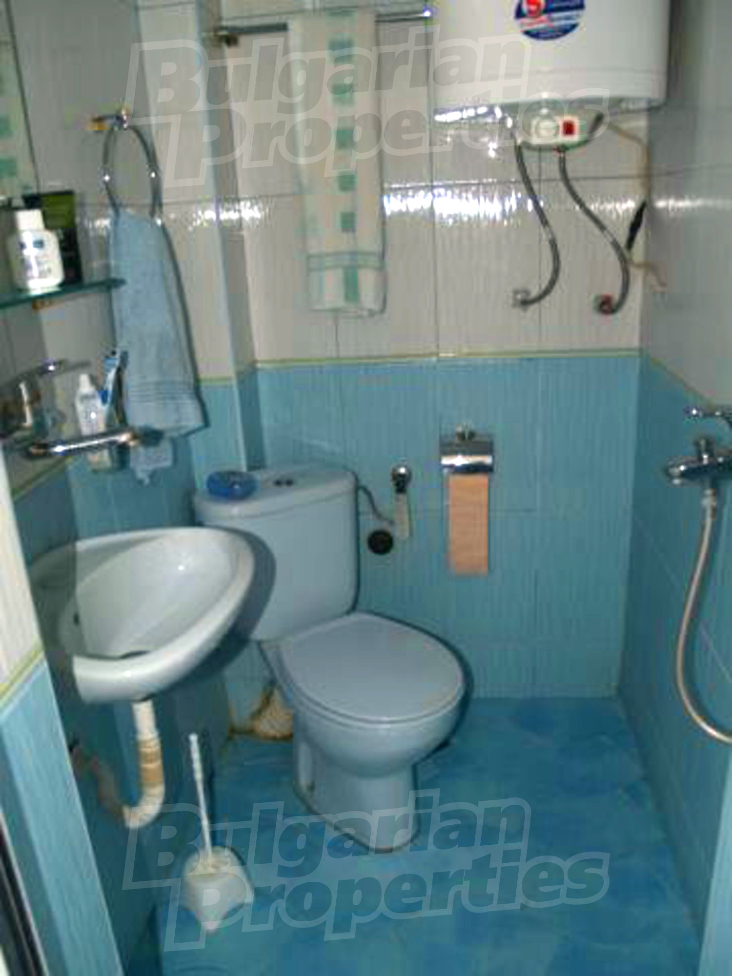Gallery Picture 16