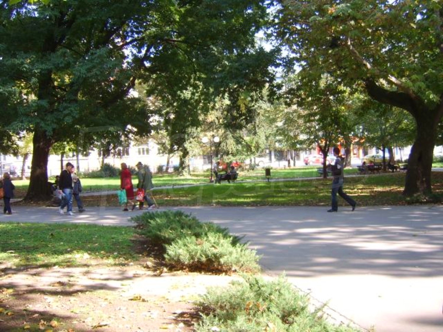 Gallery Picture 15