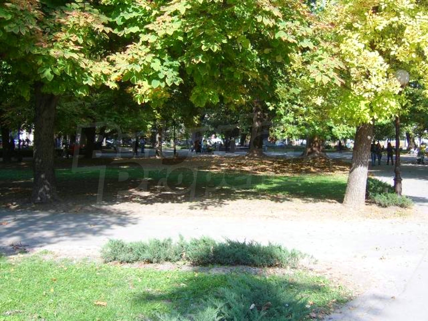 Gallery Picture 16