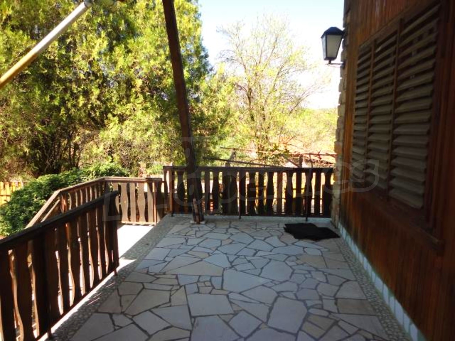 Gallery Picture 23