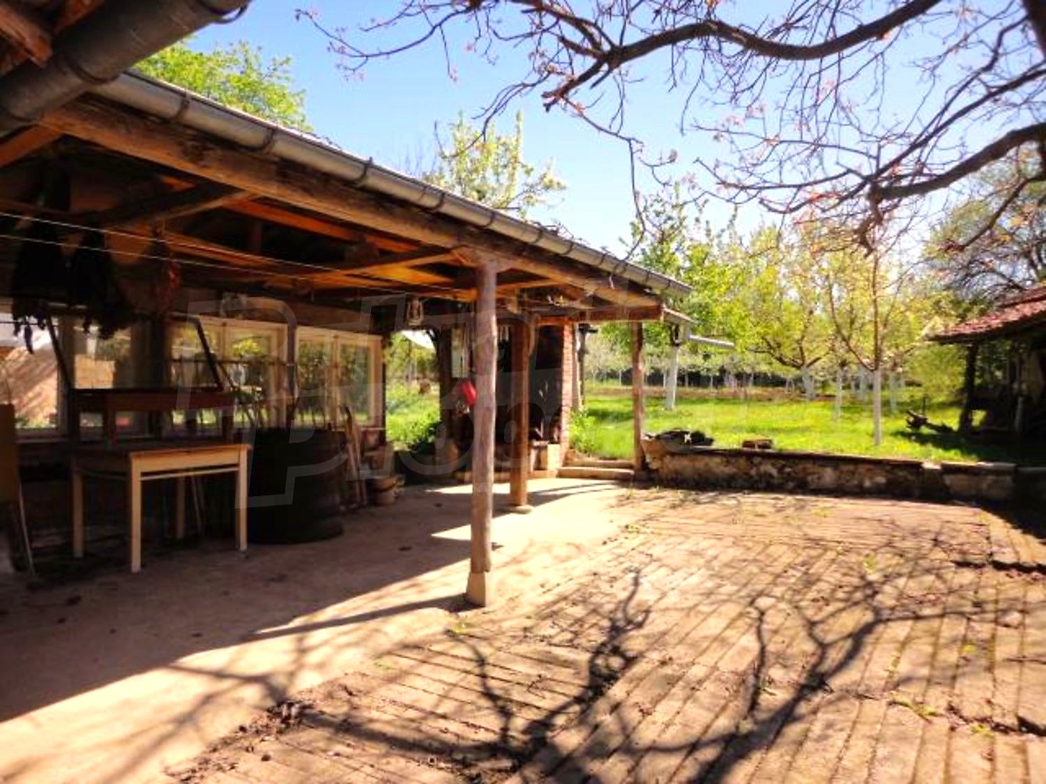 Gallery Picture 48
