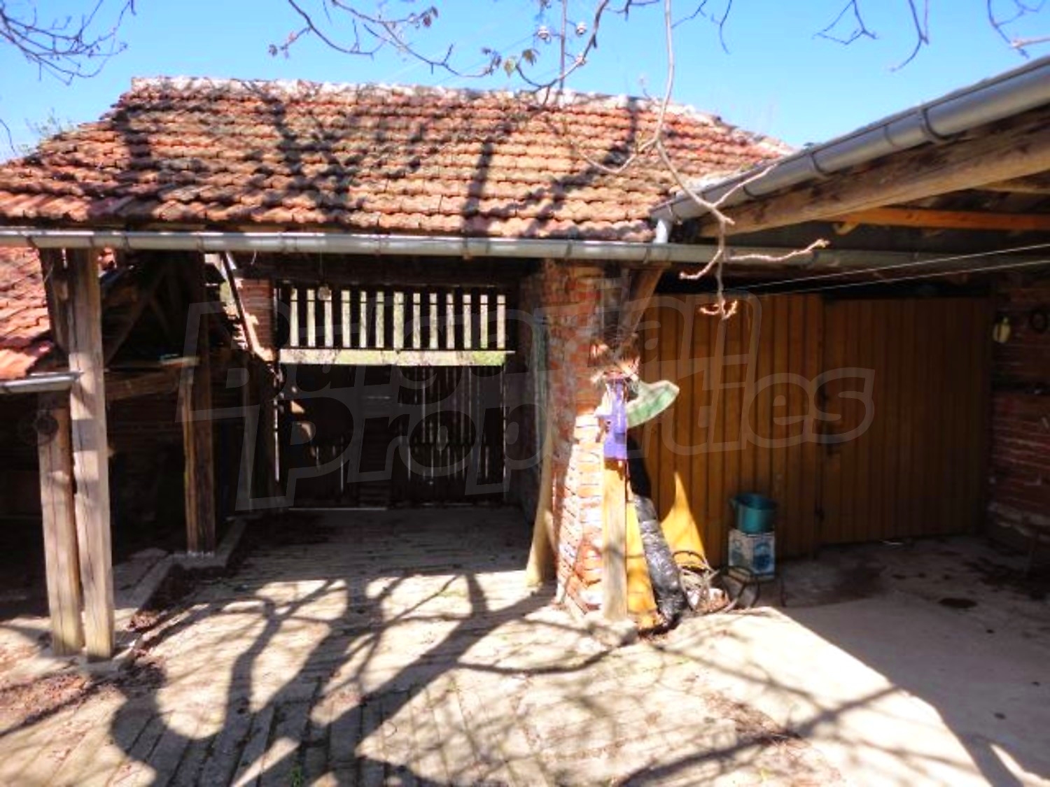 Gallery Picture 51