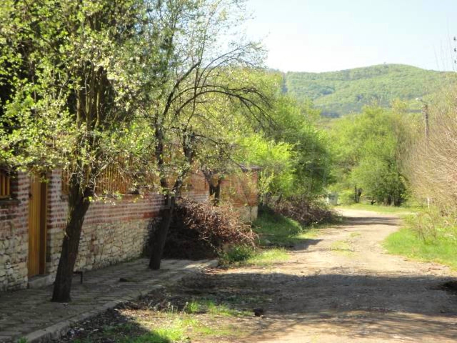 Gallery Picture 52