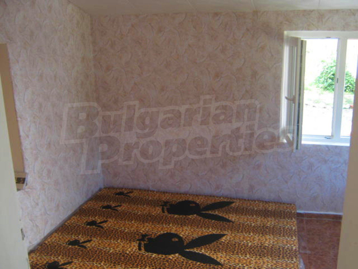 Gallery Picture 15