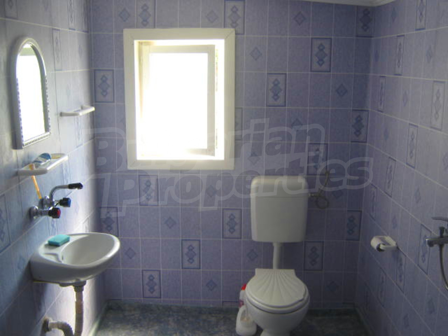 Gallery Picture 16