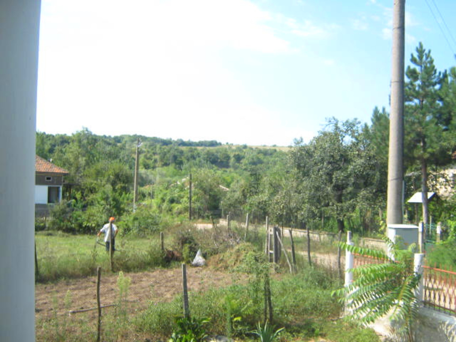 Gallery Picture 18