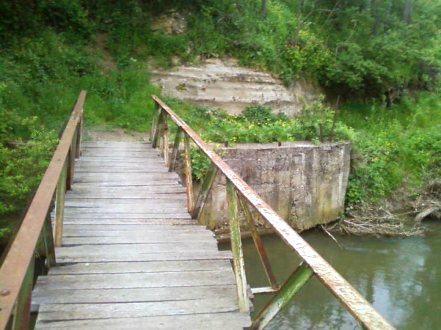 Gallery Picture 23